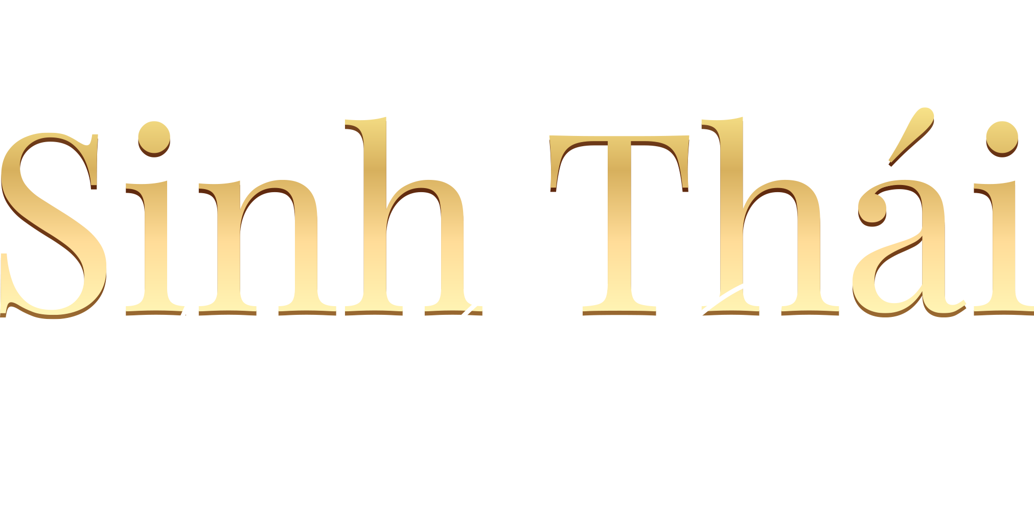 Banner Vinhomes Can Gio